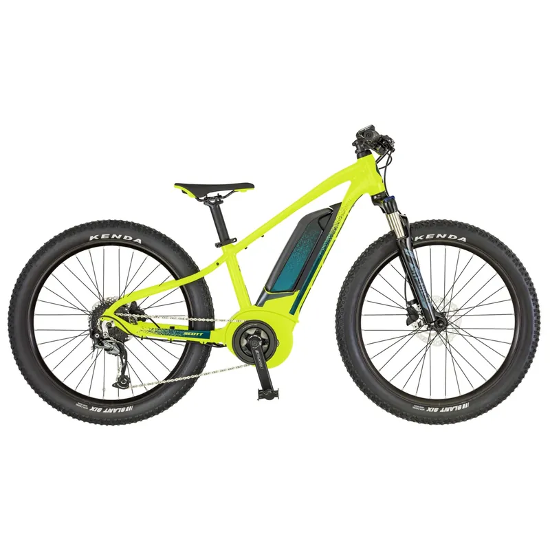 Dětské elektrokolo Roxter eRide 24 Endorphin Republic Autentický