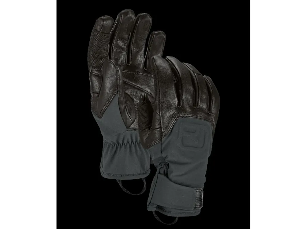 Top Prodej Pánské Rukavice Ortovox Alpine Pro Glove