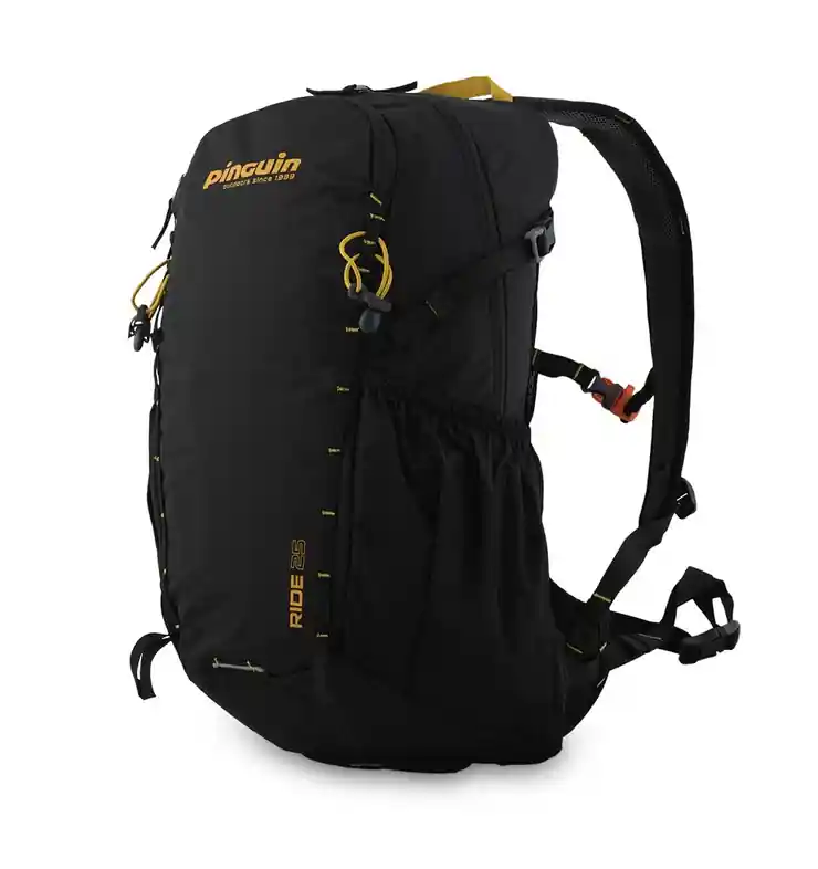 Levný Pinguin Ride 25 black