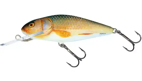 Objednat Nyní SALMO Wobler Perch Deep Runner 8cm - REAL ROACH