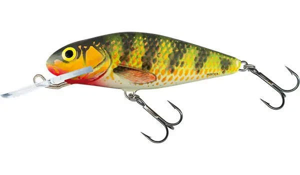 Pouze Dnes SALMO Wobler Perch Deep Runner 8cm - HOLOGRAPHIC PERCH