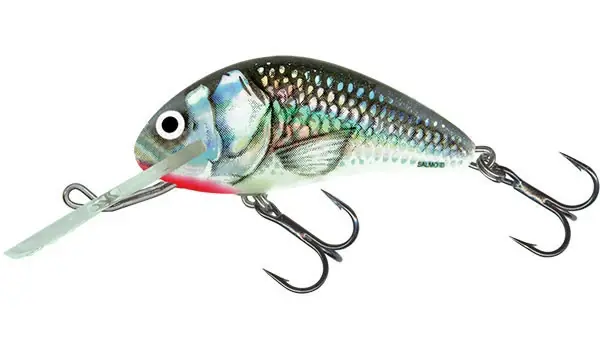 Sleva SALMO HORNET 9cm Floating - HOLOGRAPHIC GREY SHINER