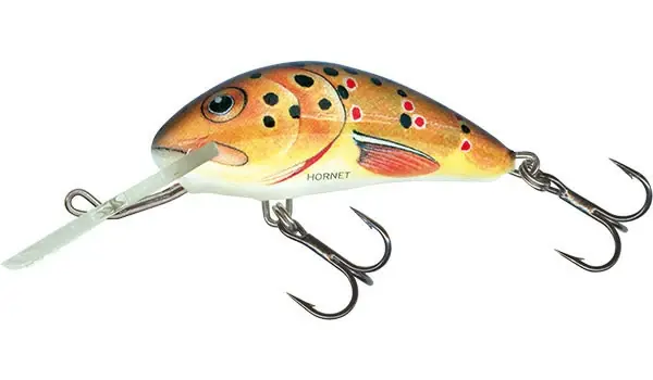 Must-Have SALMO Hornet 4cm Sinking - TROUT