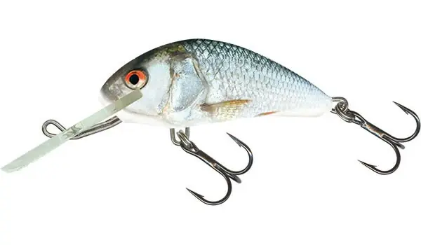SALMO Hornet 2.5cm Sinking - REAL DACE Přímo Od Výrobce