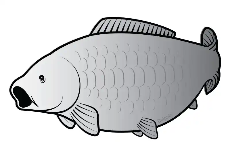 DELPHIN Nálepka kapr SILVER Poslední Šance