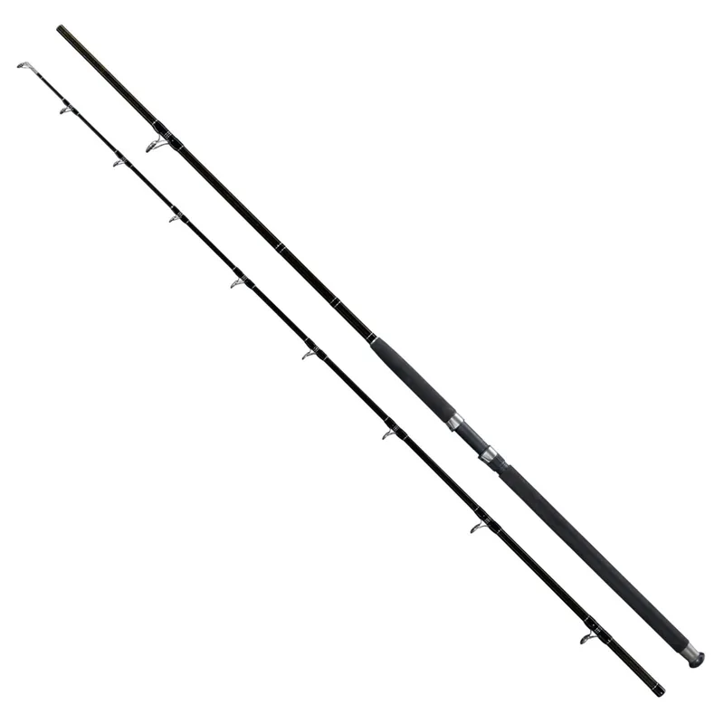 GIANTS FISHING Prut Deluxe Catfish 2,9m 500g Nejlepší Cena