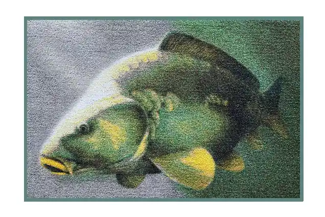 Levný DELPHIN Rohož 3D kapr