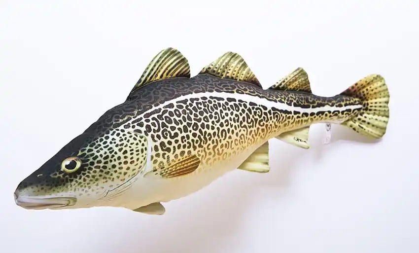 Autentický GABY polštářek TRESKA OBECNÁ standart 75cm