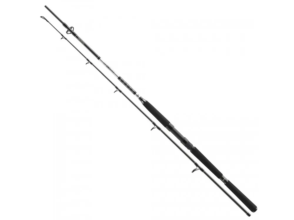 Daiwa BG 2,4m 40-125g Získejte slevu -5% za registraci v e-shopu Autentický
