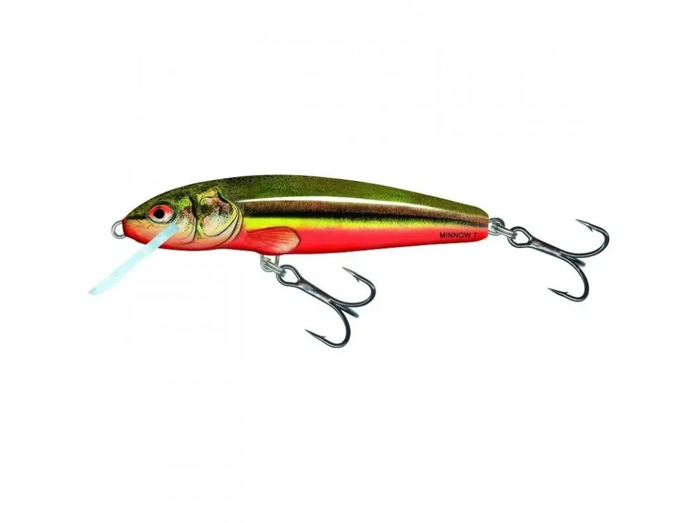 Nejlepší Volba Wobler Salmo MINNOW-RBD Získejte slevu -5% za registraci v e-shopu