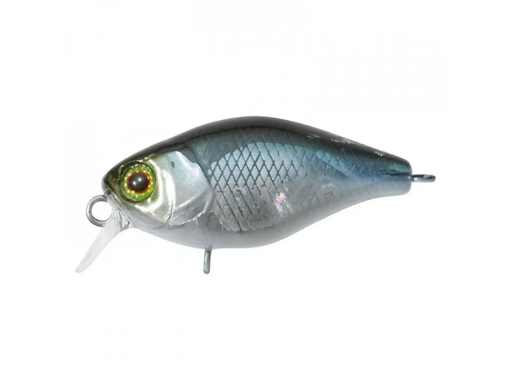Cenově Výhodný Illex Chubby 3,8cm NF Ablette Získejte slevu -5% za registraci v e-shopu