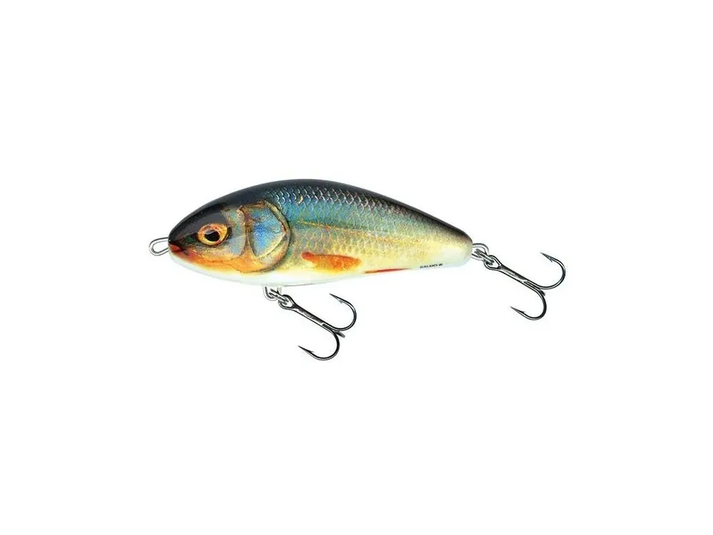 Akce Salmo Fatso 10S Real Roach Získejte slevu -5% za registraci v e-shopu
