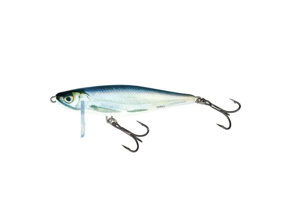 Wobler Salmo THRILL-RBL Získejte slevu -5% za registraci v e-shopu Přímo Od Výrobce