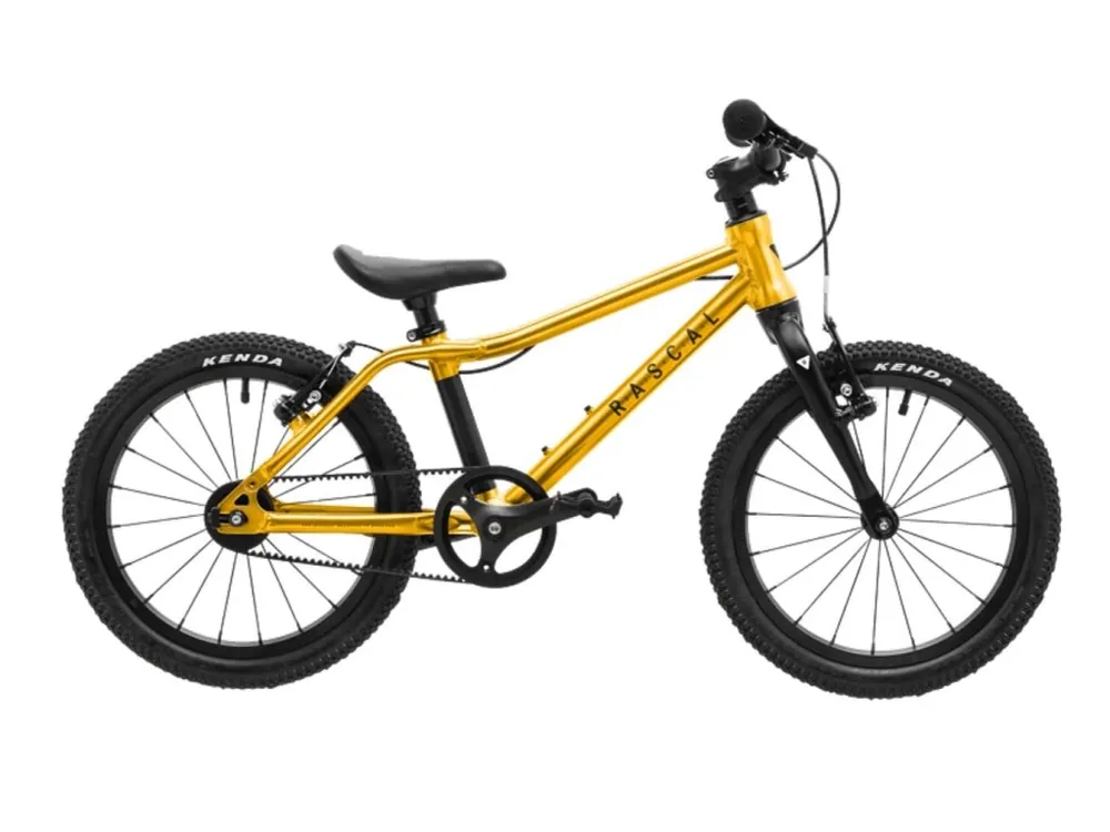 Top Prodej Dětské kolo Rascal Titanium 16" 2026