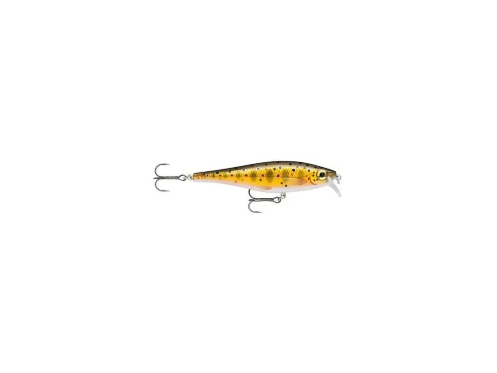 Odeslání Ihned Rapala Wobler BX Minnow 10 TR