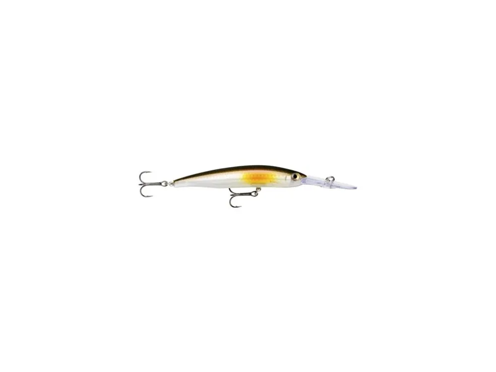 Must-Have Rapala MAX-RAP Fat Minnow 9
