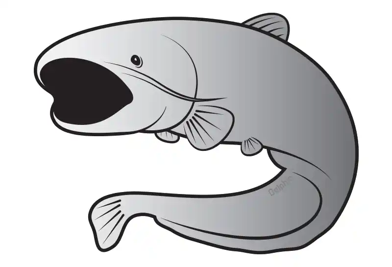 Cenová Bomba DELPHIN - Nálepka sumec stříbrná