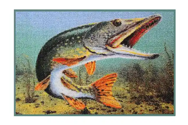 DELPHIN - Rohož 3D štika Super Cena