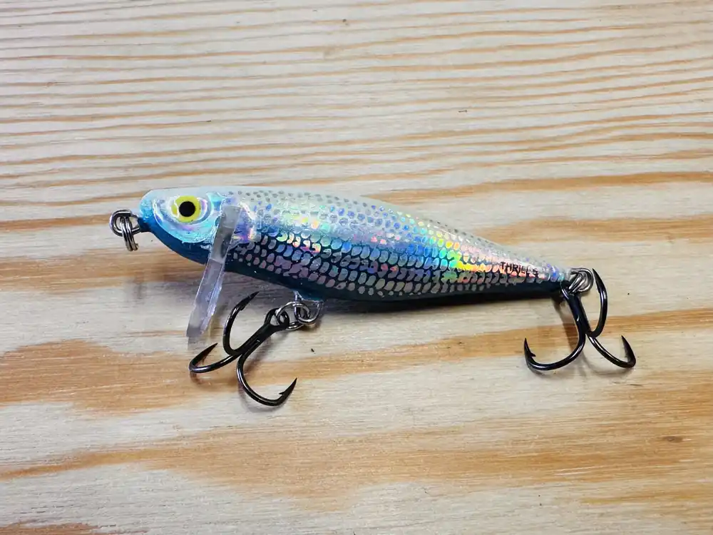 Wobler SALMO Thrill Sinking 5 cm / 6,5 g Nejprodávanější