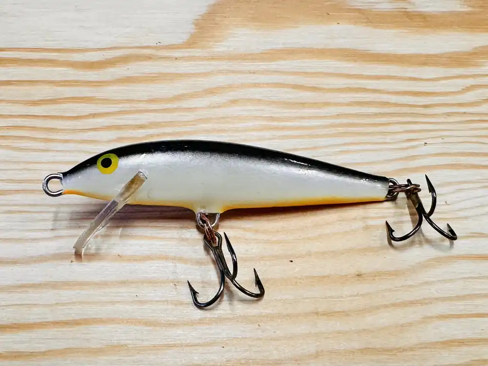 Omezená Nabídka Wobler RAPALA Floating 07 SS 7cm / 4g
