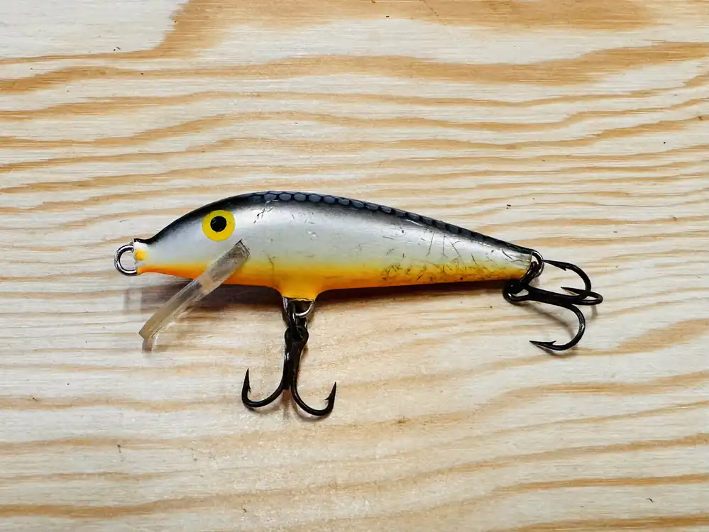 Sezónní Sleva Wobler RAPALA Floating 07 SS 5cm / 3g