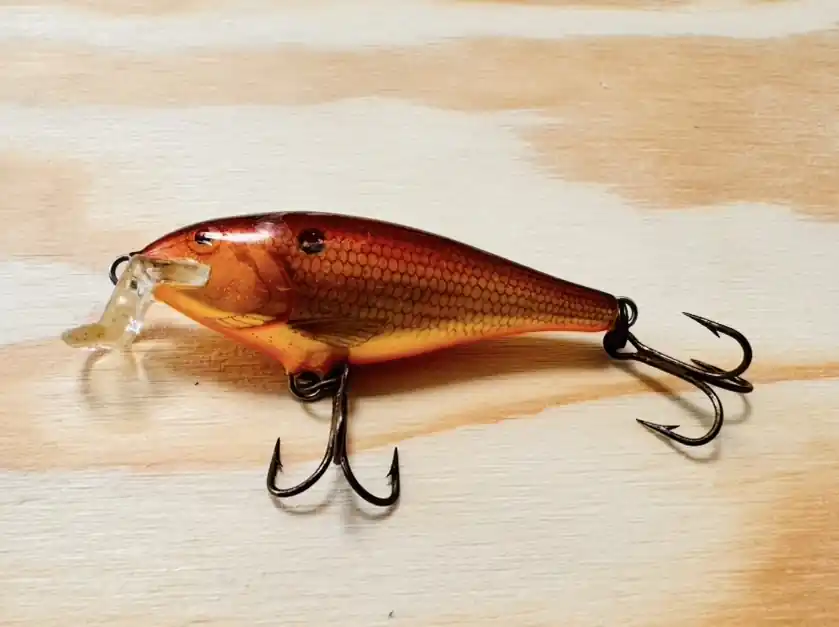 Novinka WOBLER RAPALA SHALLOW SHAD RAP SSR5 CW FINLAND / 5cm / 6g