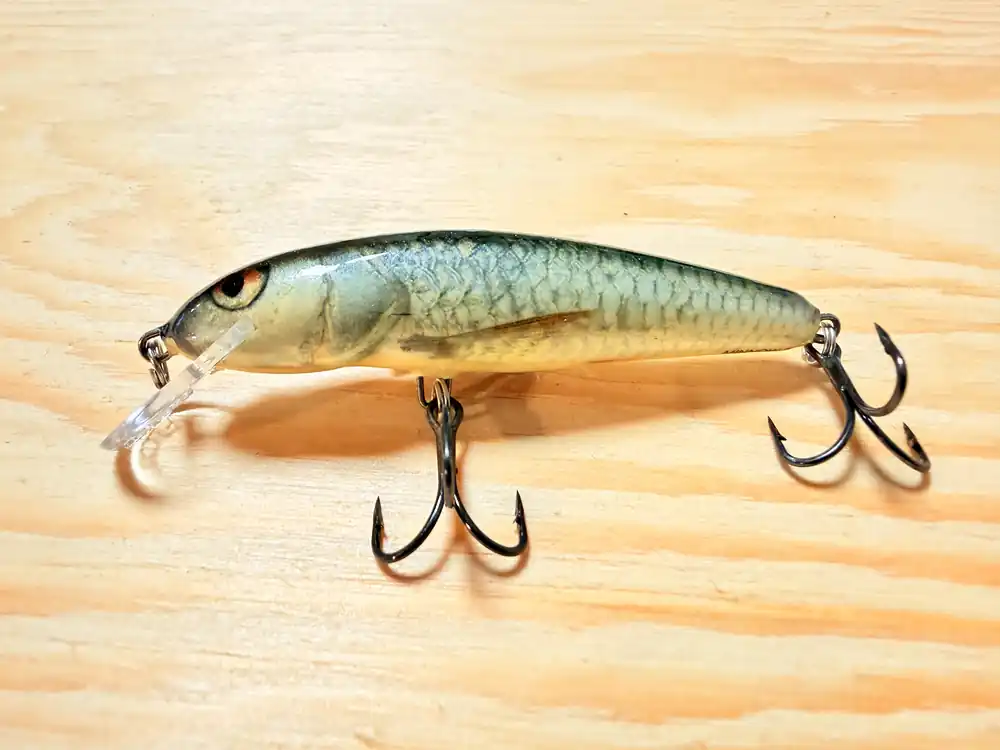 Finální Výprodej Wobler SALMO Minnow 7F / 7 cm / 6 g / 1.0-1.5 m
