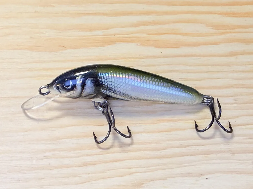 Wobler SALMO Minnow 5 / 5cm / 3g / 0,5-1,0m Nejlepší Cena