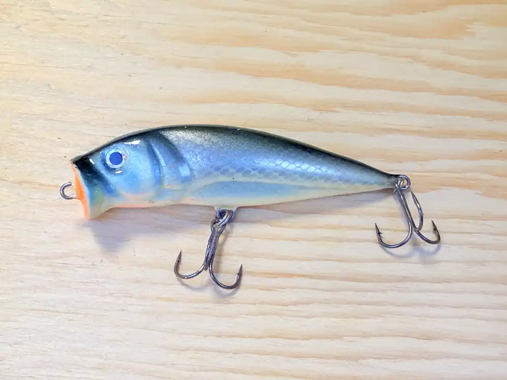 Popper LOVEC RAPY 70 / 7cm / 6g Pouze Dnes
