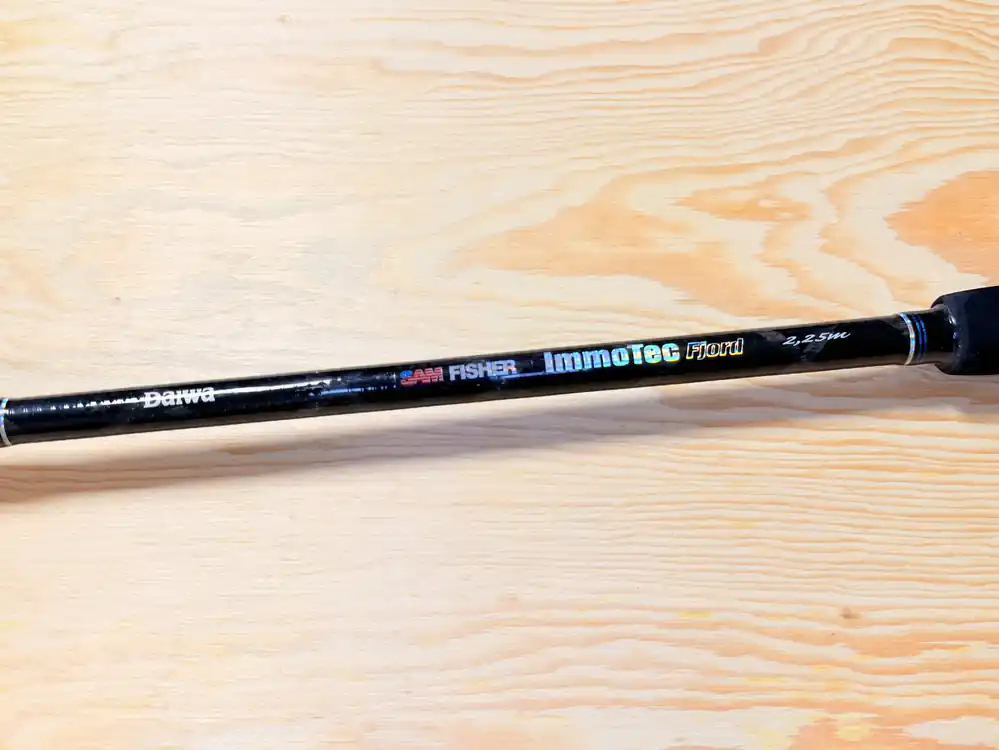 Must-Have MOŘSKÝ PRUT DAIWA IMMOTEC FJORD / 2,25 m / 100-300g / 8-20 lbs
